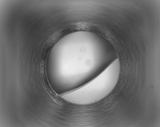 X0000058800413200509300919