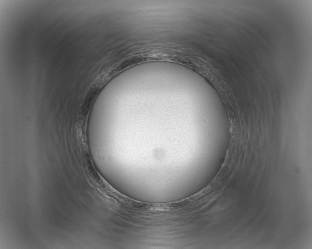X0000058800415200509300919