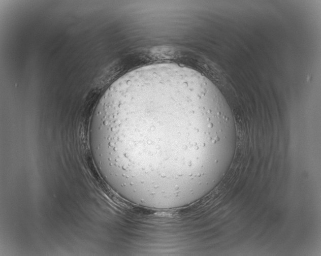 X0000058800418200509300919