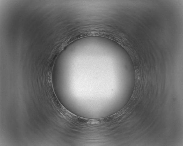 X0000058800419200509300919