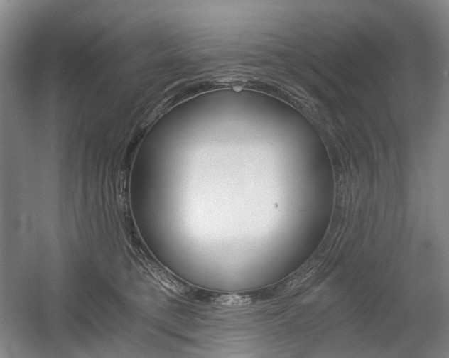 X0000058800421200509300919