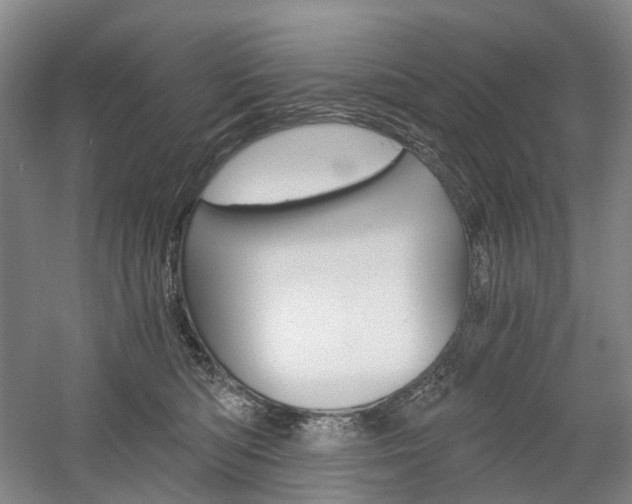 X0000058800422200509300919