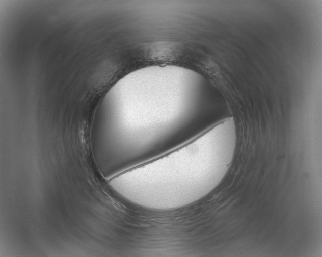 X0000058800424200509300919