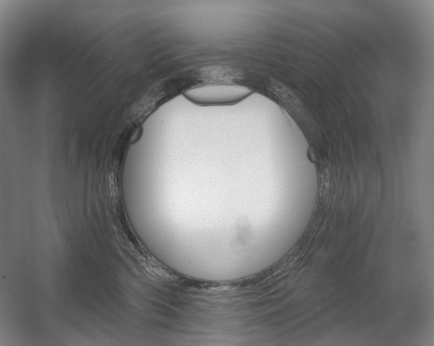 X0000058800426200509300919
