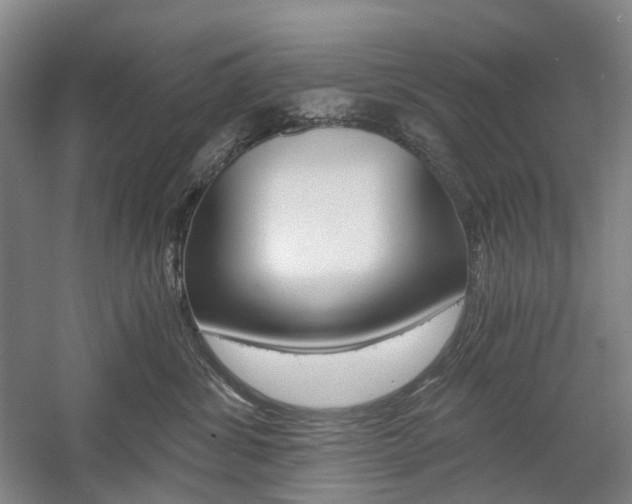 X0000058800428200509300919