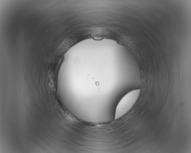 X0000058800430200509300919