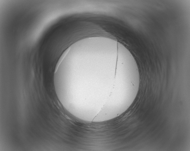 X0000058800431200509300919
