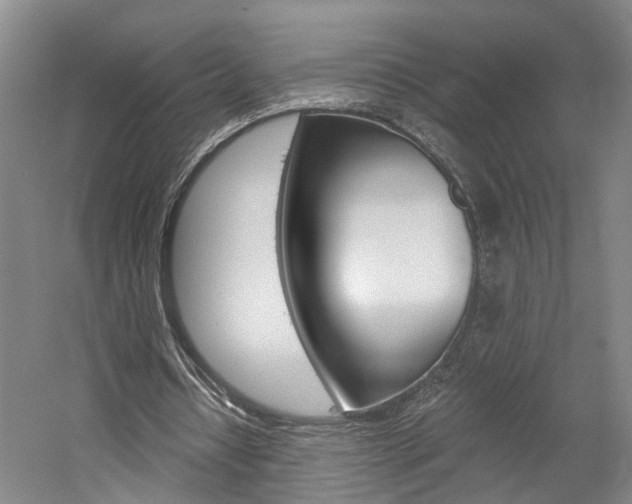 X0000058800434200509300918