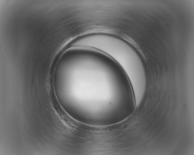 X0000058800436200509300918