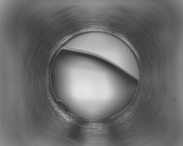 X0000058800437200509300918