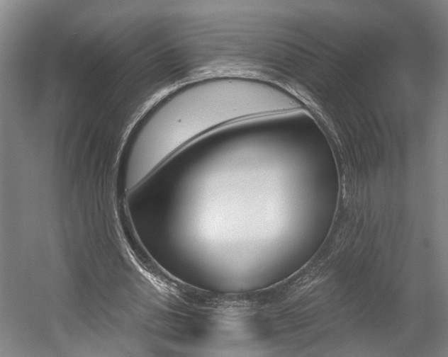 X0000058800438200509300918