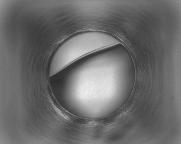 X0000058800441200509300918