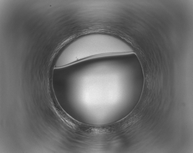 X0000058800442200509300918