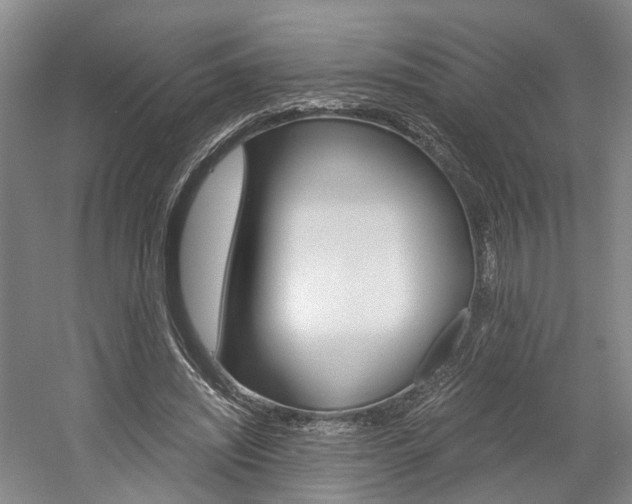 X0000058800444200509300918