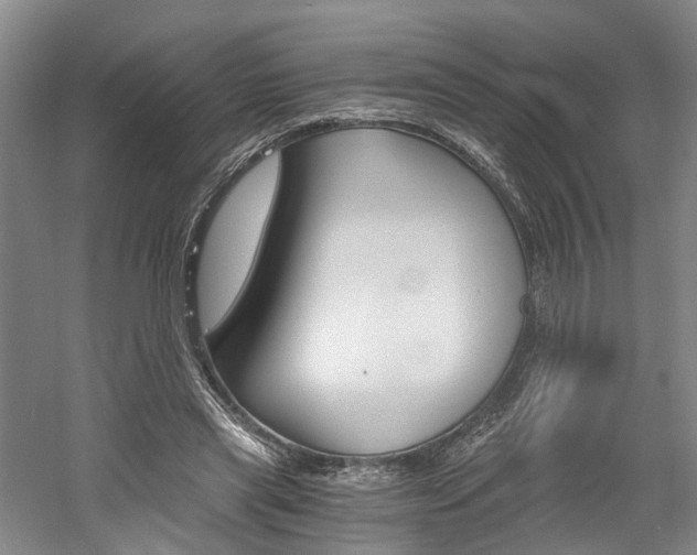 X0000058800445200509300918