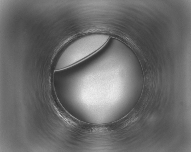 X0000058800446200509300918