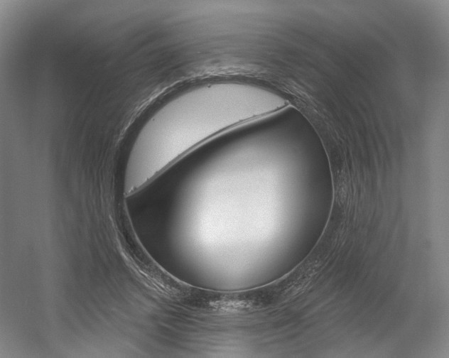 X0000058800448200509300918