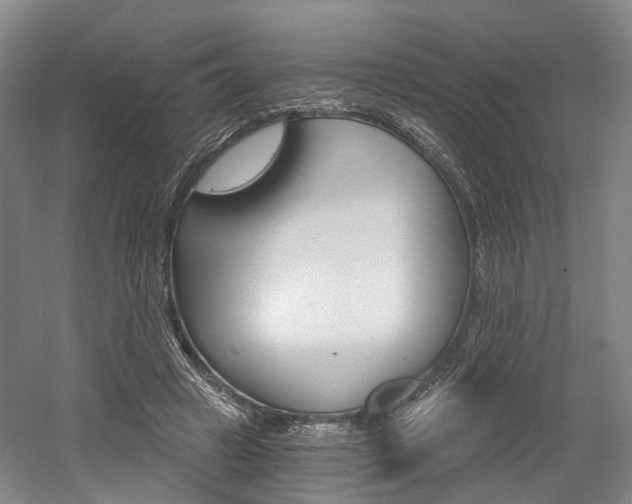 X0000058800449200509300918