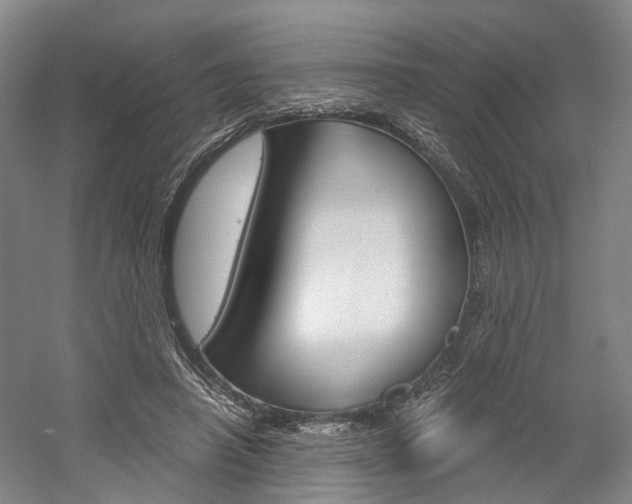 X0000058800450200509300918