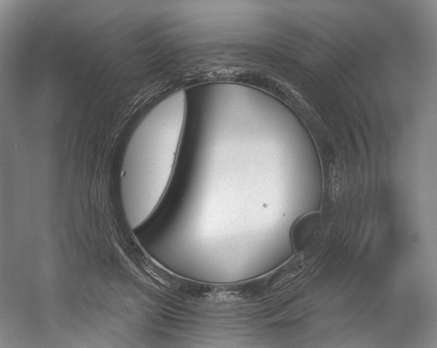 X0000058800451200509300918