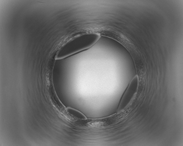 X0000058800452200509300918