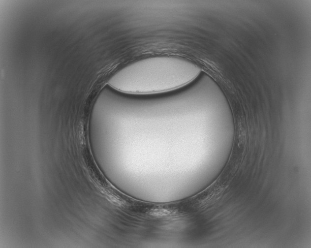 X0000058800453200509300918