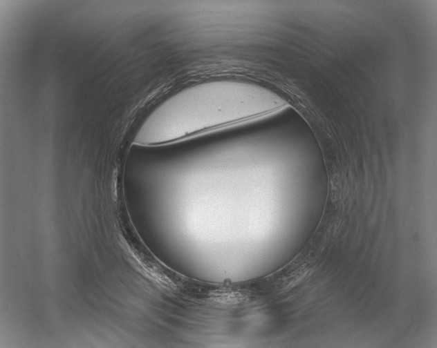 X0000058800454200509300918
