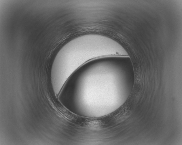 X0000058800456200509300918
