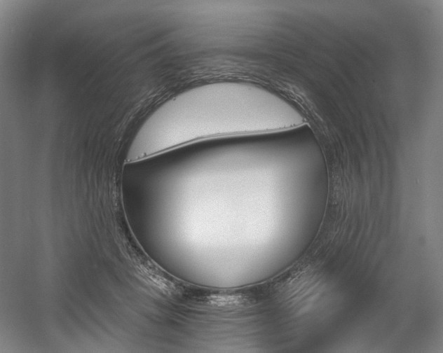 X0000058800457200509300918