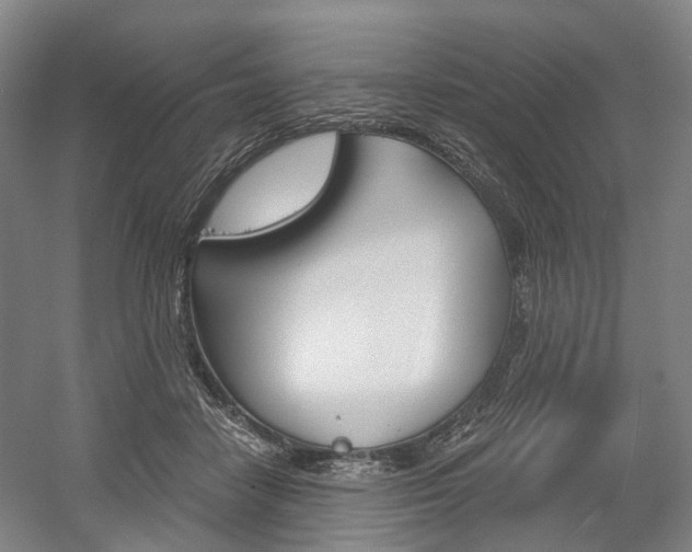 X0000058800458200509300918
