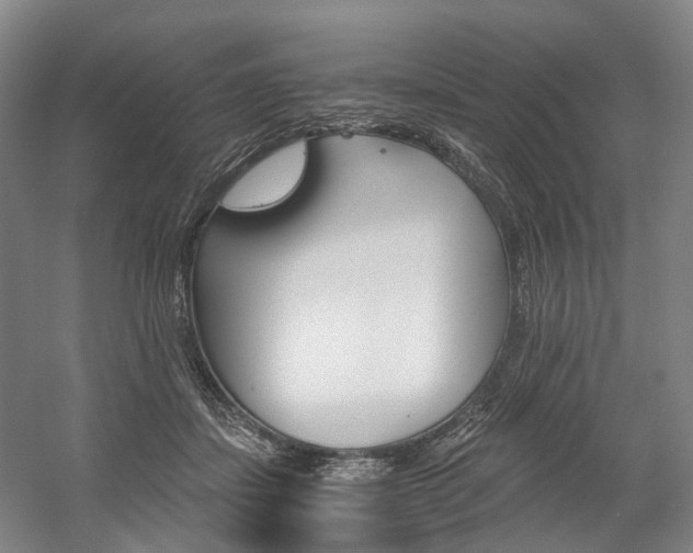X0000058800459200509300918