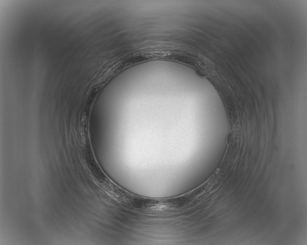 X0000058800460200509300918