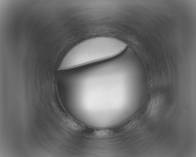 X0000058800461200509300918