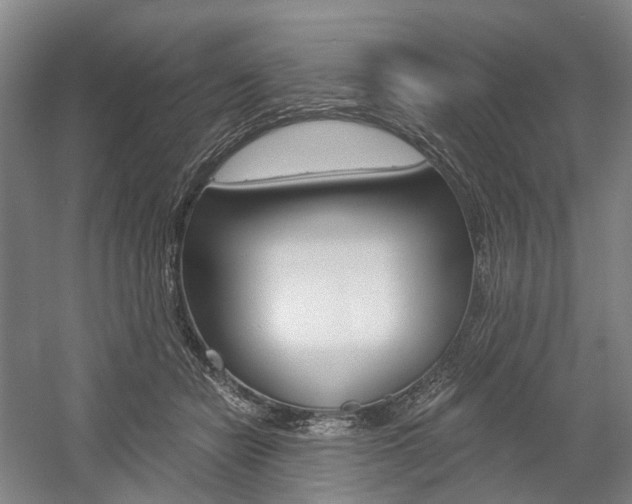 X0000058800462200509300919