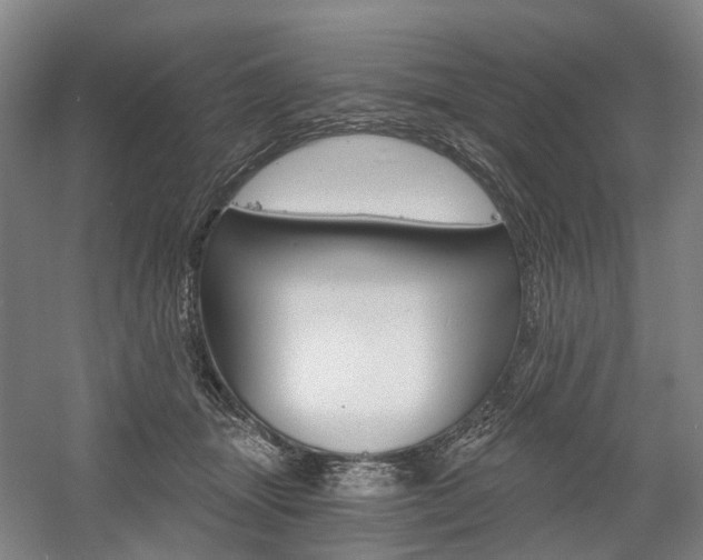 X0000058800463200509300919