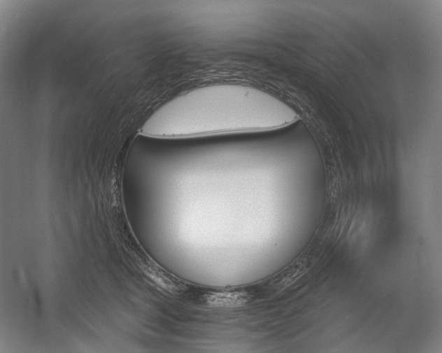 X0000058800465200509300919