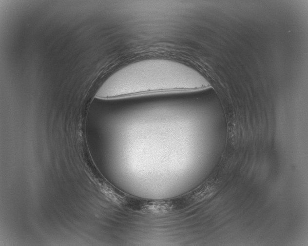 X0000058800466200509300919