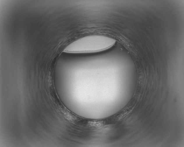 X0000058800469200509300919