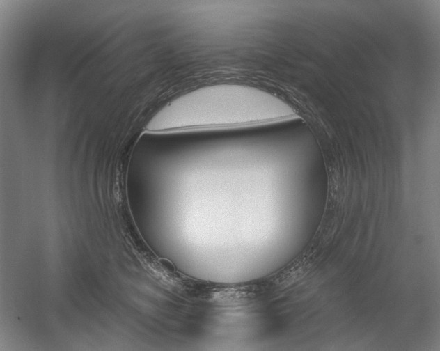 X0000058800470200509300919