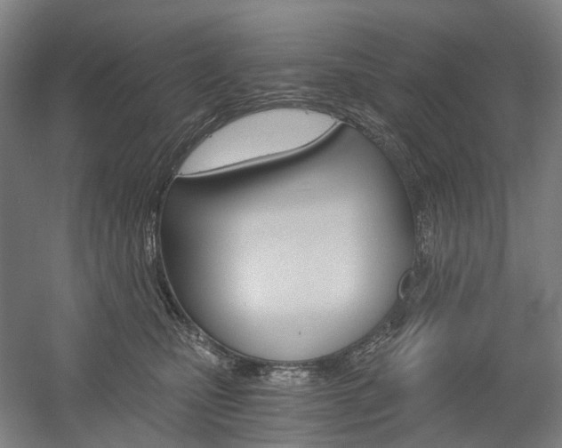X0000058800471200509300919