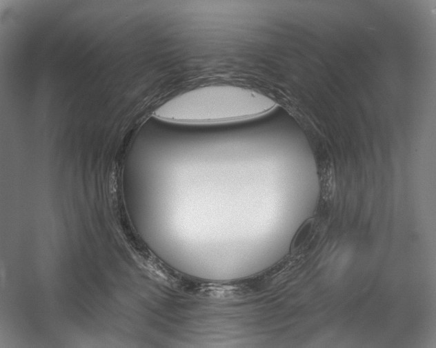 X0000058800472200509300919