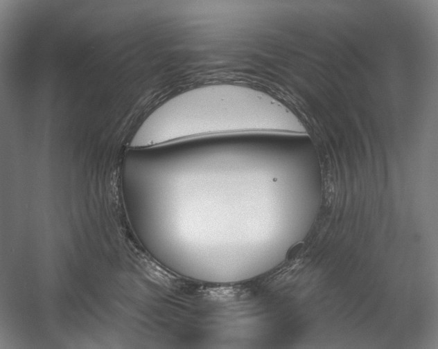 X0000058800473200509300919