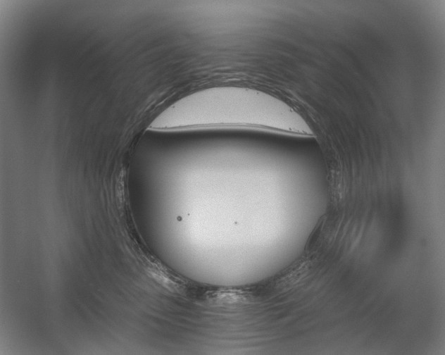 X0000058800475200509300919