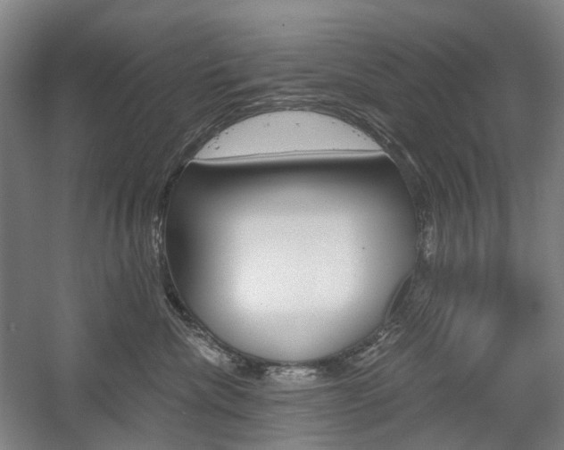 X0000058800476200509300919