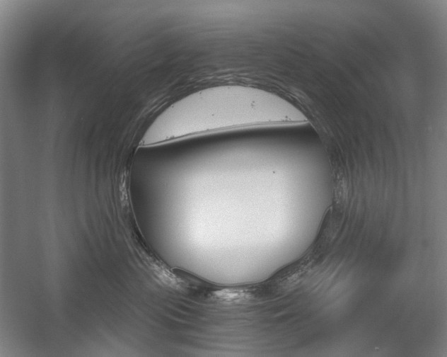 X0000058800477200509300919