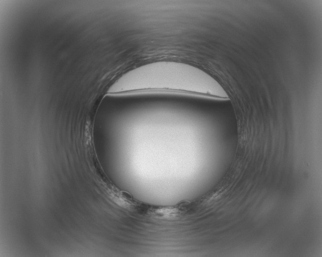X0000058800478200509300919