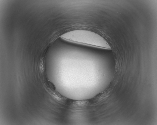 X0000058800479200509300919