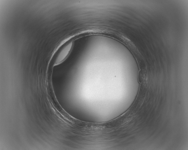 X0000058800484200509300918