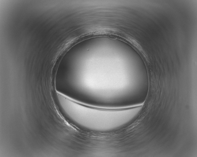 X0000058800485200509300918