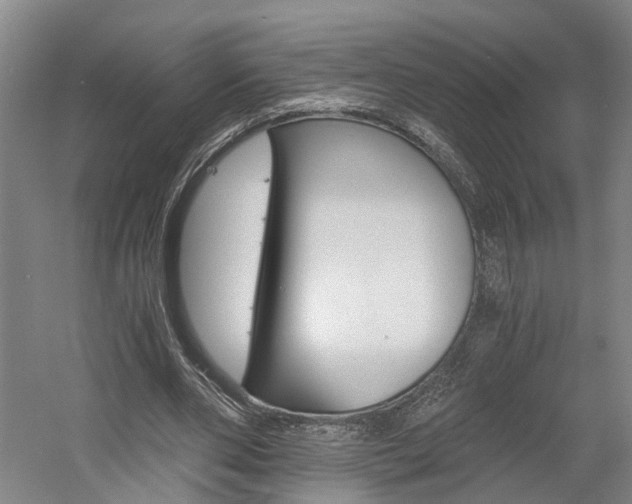 X0000058800486200509300918